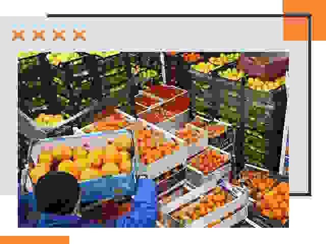 Перевозка скоропортящихся продуктов в Азове